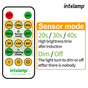 Intelamp Solar Flood Light ideal for entryway ambience and security.