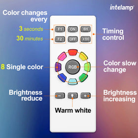 Intelamp garden ambiance light enhances border and walkway aesthetics