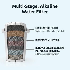 Invigorated Water PH001 KDF removes heavy metals for safer-tasting water