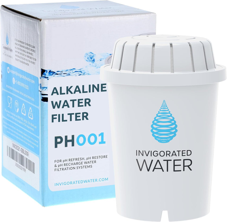 Invigorated Water PH001 two-micronets filter interior captures particles for cleaner water