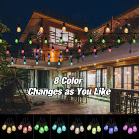 IPStank remote-dimmable RGB lights offer customizable color scenes