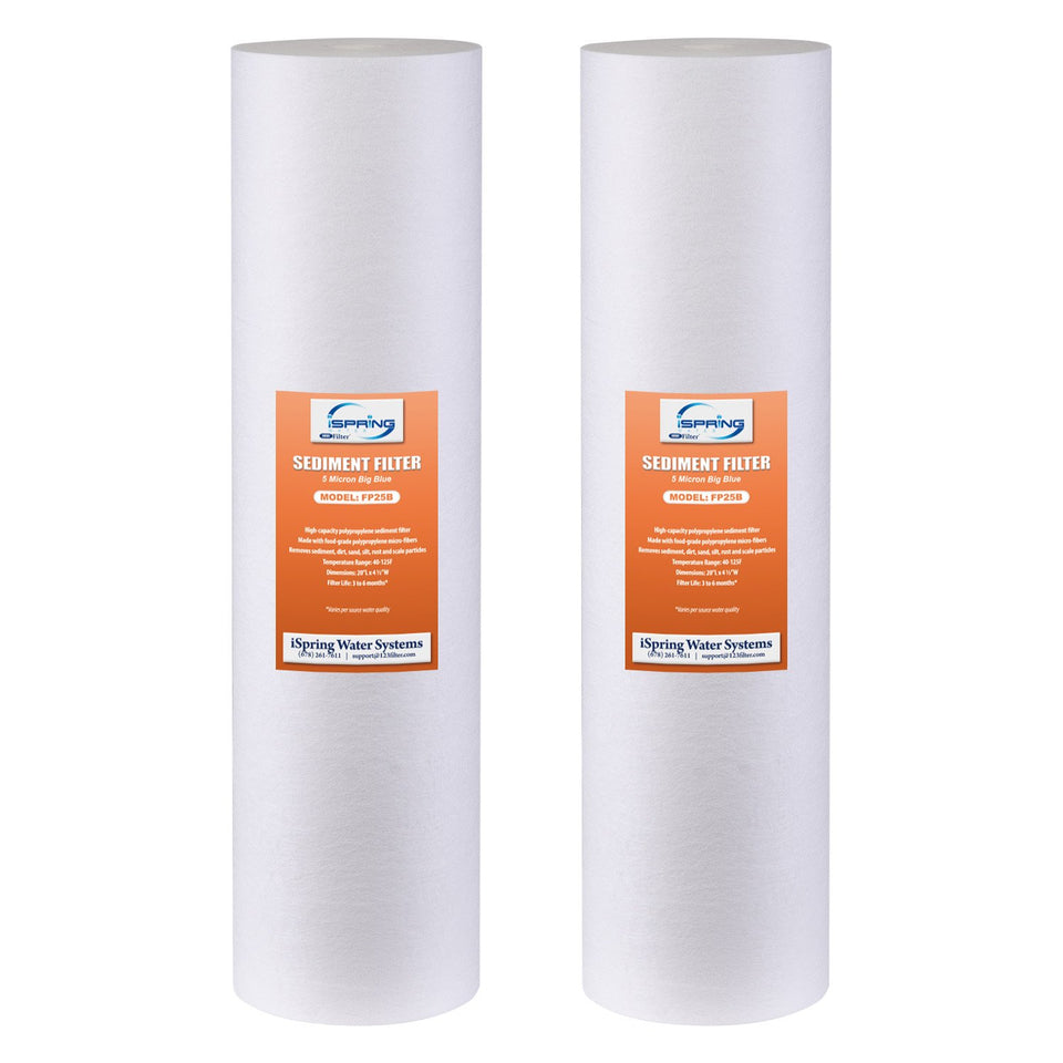 Ispring FP25BX2 sediment filter in a 20x4.5 housing.
