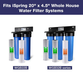 Ispring FP25BX2 standard 20x4.5 inch cartridge fits common housings.