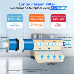 iSpring Greatwell membrane in housing demonstrates standard size for easy under-sink swap.