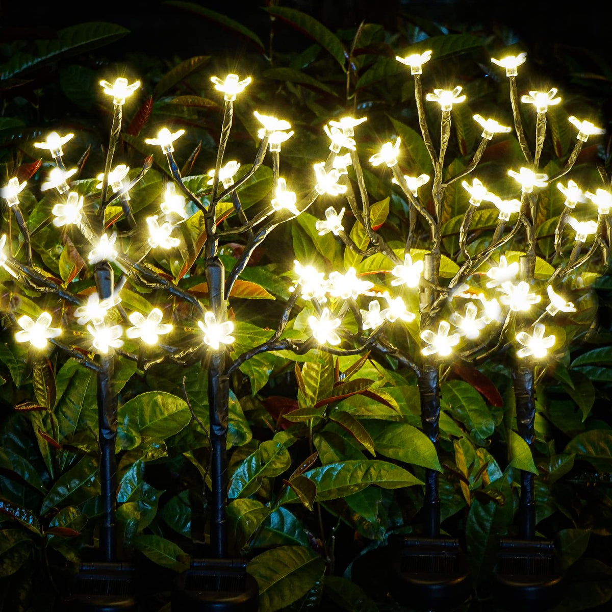IUEECEN cherry blossom solar lights illuminate pathways with warm glow