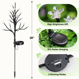 IUEECEN Solar Lights create magical yard ambiance at dusk.