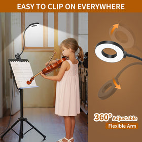 iZELL Desk Lamp is USB-powered for easy setup with laptops or power banks.