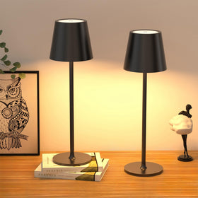 JACKYLED two-pack cordless lamps for flexible lighting setups