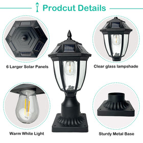 Jalarox Edison-style solar lamp enhances curb appeal along driveway.