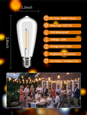 Jasneniebo weatherproof bulbs withstand rain and sun for garden string lights.