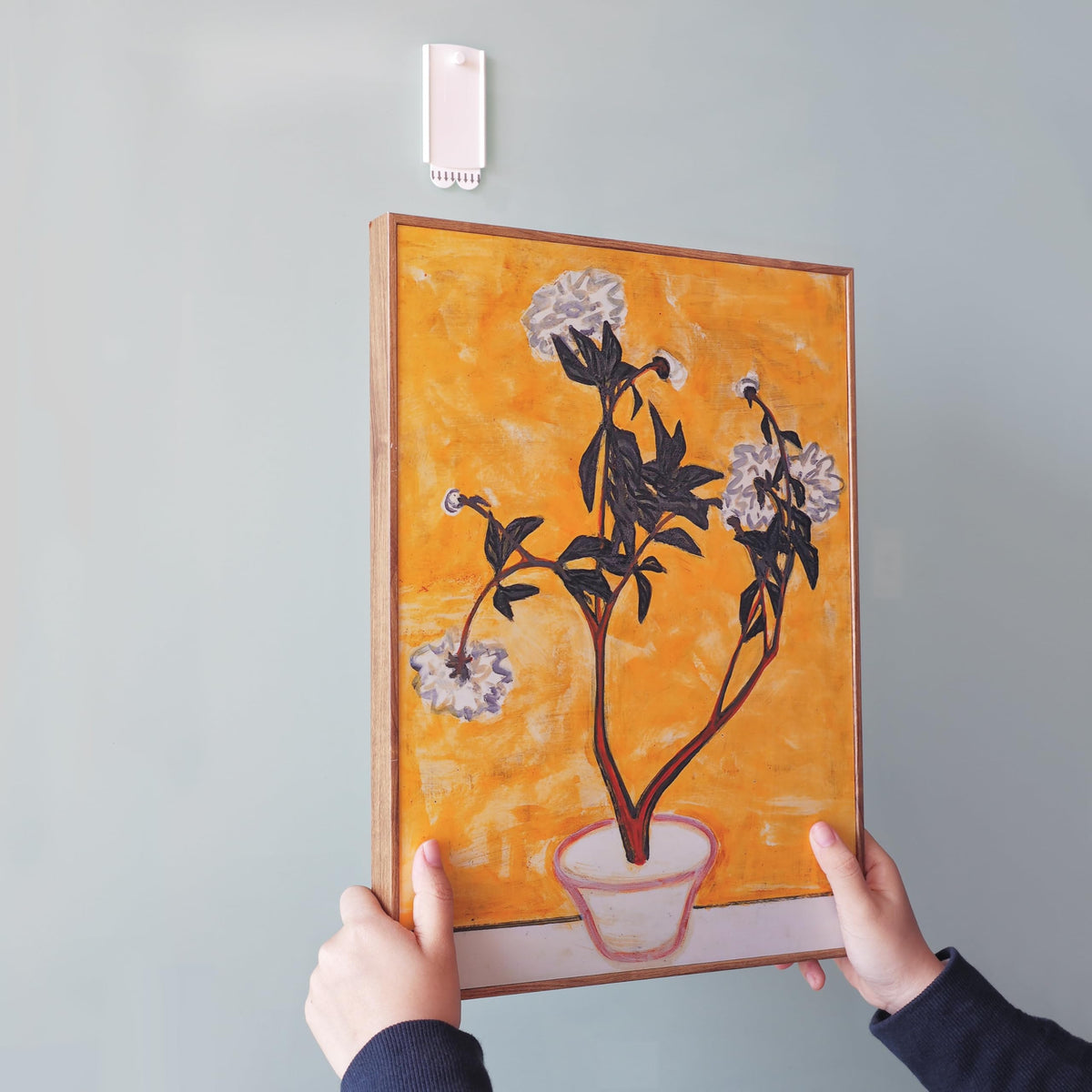 Jellysub strong, versatile hangers keep frames aligned.