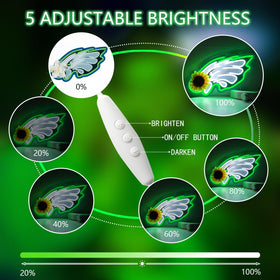 JFLLamp Eagles neon sign is USB powered for easy plug-and-play setup.