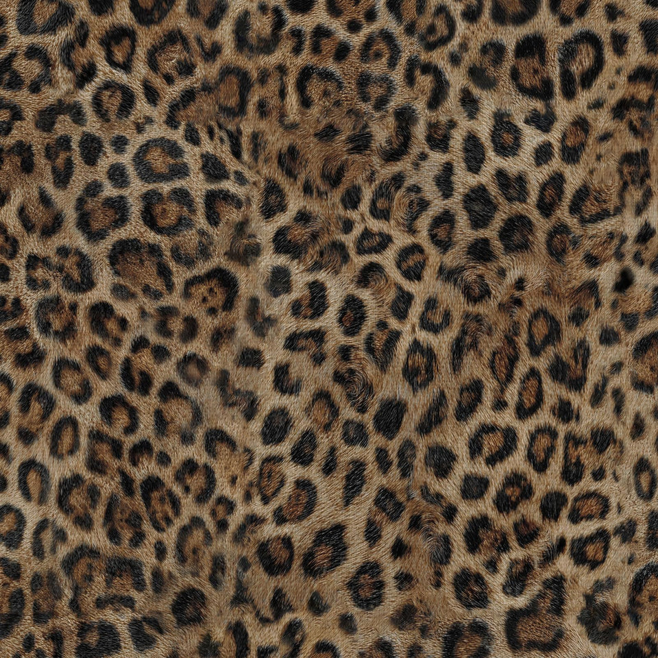 JiffDiff Upgrade Leopard wallpaper close up texture adds depth to walls