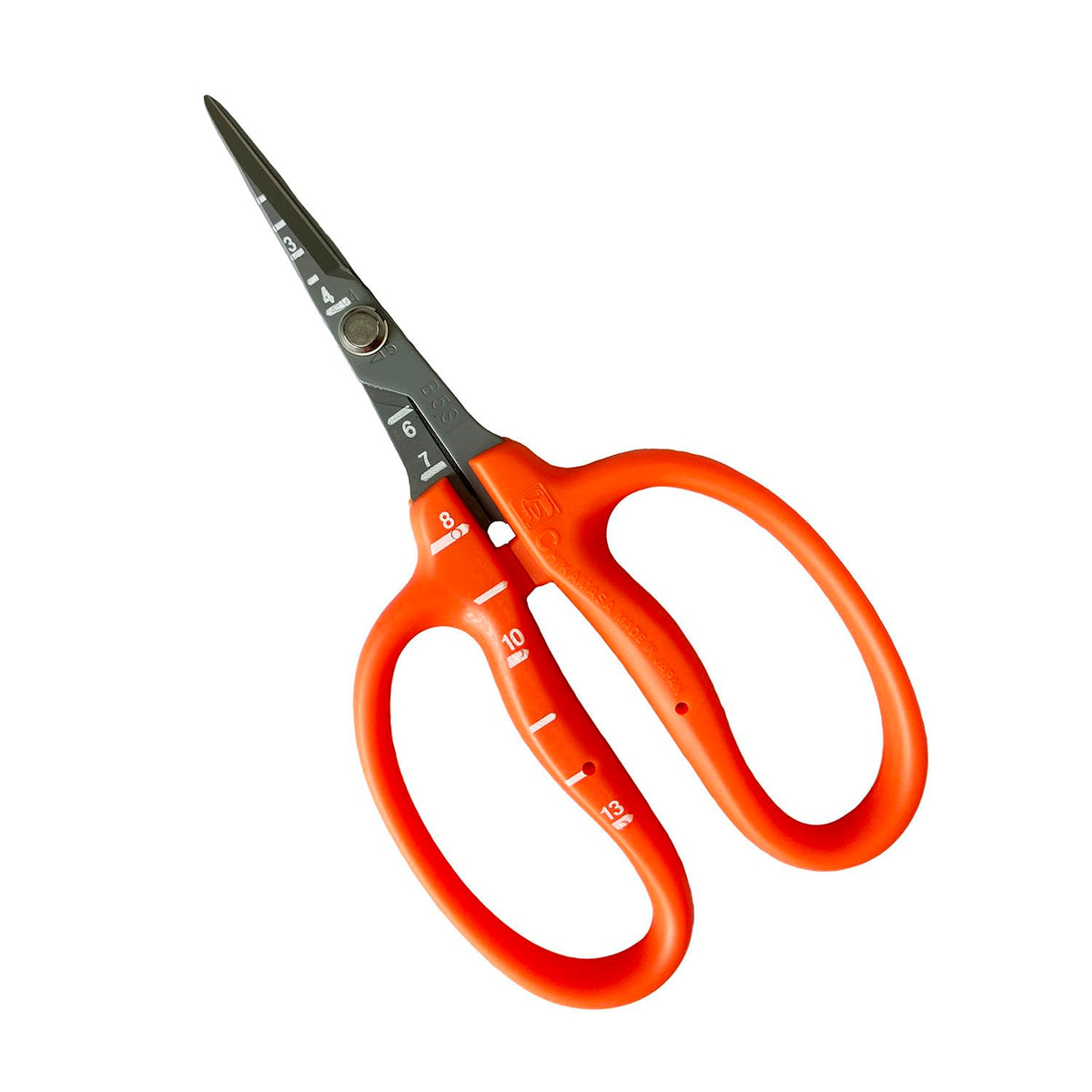 Jinzheng Chikamasa B-500SF grape care shears designed for precise grape pruning and high durability.