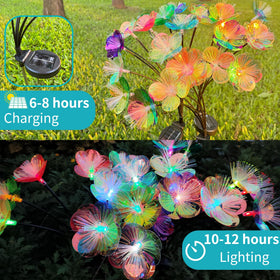 JJGoo 12-color LEDs offer enchanting color changes for events.