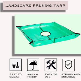 Waterproof polyethylene tarp protecting soil while pruning around a tree.