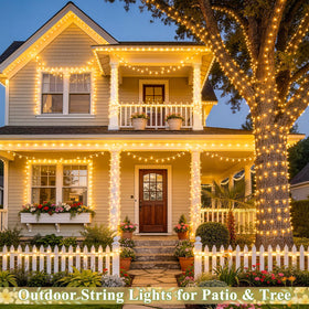JMEXSUSS 168ft LEDs illuminate a tree with a soft glow