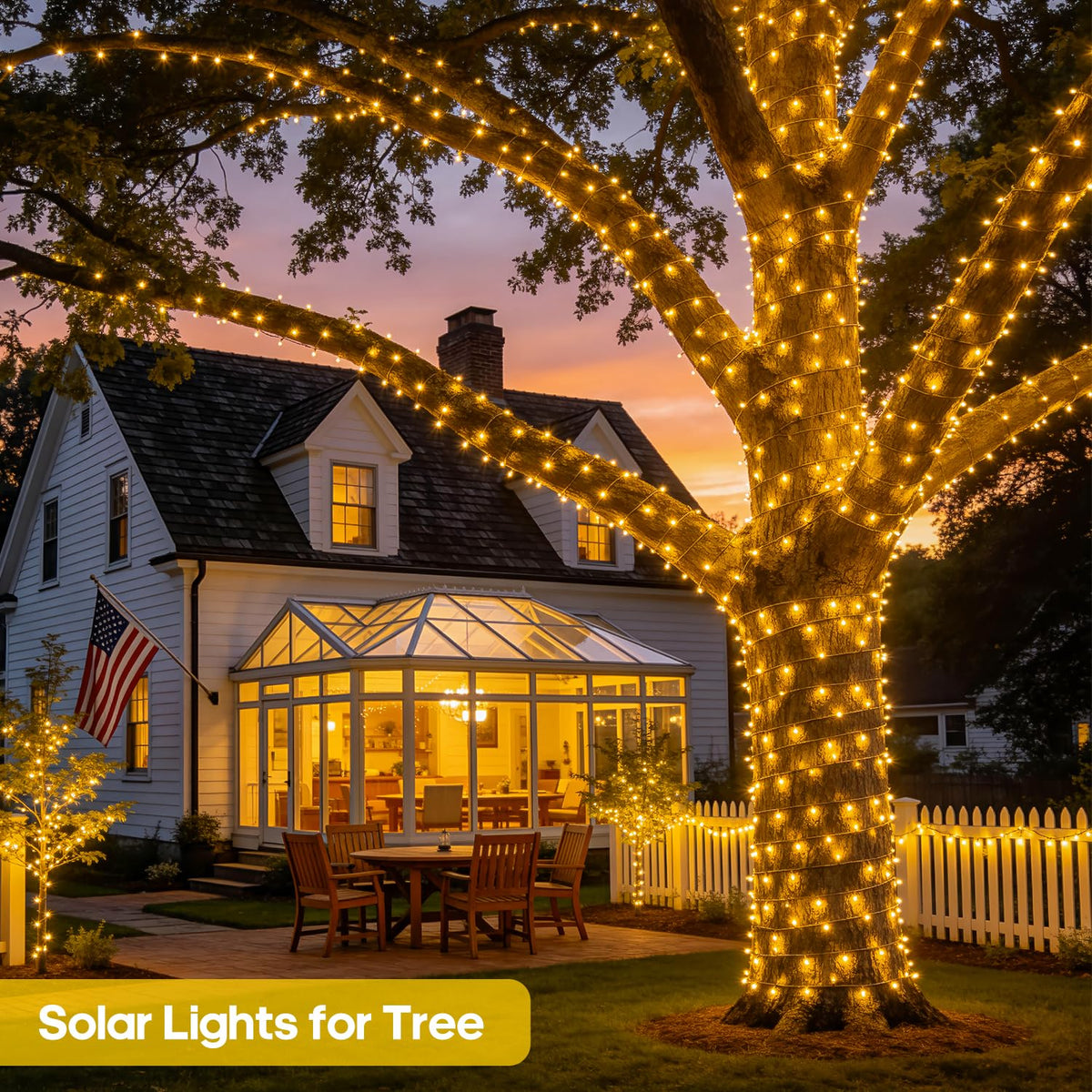 JMEXSUSS lights draped around a tree creating festive ambiance