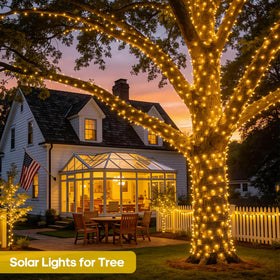 JMEXSUSS lights draped around a tree creating festive ambiance