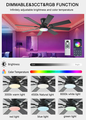 JSAITEE RGB lighting modes offer versatile ambiance in any room