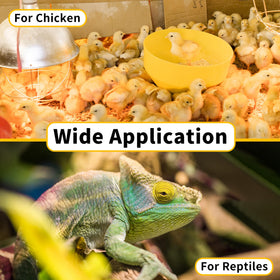 Jugbuy heat lamp installed in a reptile enclosure for ambient warmth