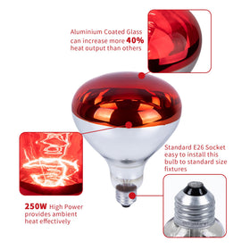 Jugbuy reflective aluminum glass boosts heat output for faster warming.