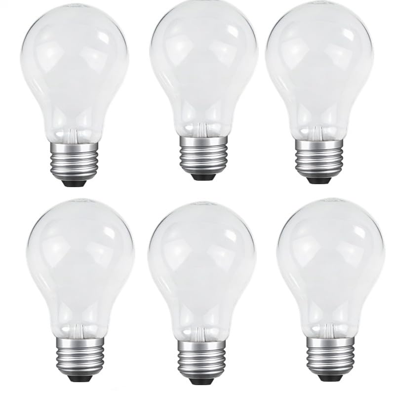 JUNFMLY 60W incandescent bulb with clear glass filament for vintage ambiance.