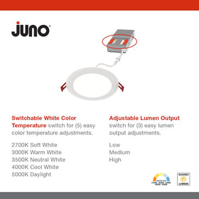 Juno 6-inch downlight displaying five color temperature options from warm to daylight.