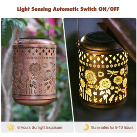 Kaixoxin solar lanterns illuminate walkways with warm light during evenings.