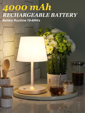 Kakanuo champagne gold lamp with touch dimming for adjustable brightness