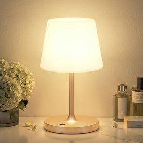 Kakanuo Champagne Gold Shower Lamp waterproof and portable for bathroom use