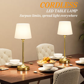 Kakanuo brass gold lamp on dining table, elegant centerpiece for meals.