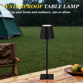 Kakanuo 2-pack option coordinates lighting across rooms