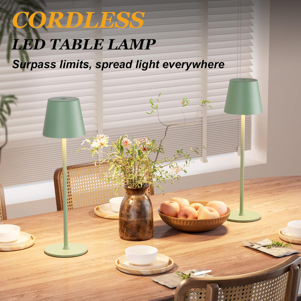 Kakanuo cordless lamp USB-C charging for quick power.