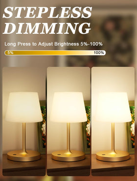 Kakanuo Gold cordless shower lamp featuring touch dimming for easy brightness control.