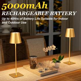 Kakanuo Gold dimming control showing smooth brightness ramp
