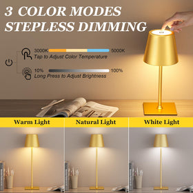 Kakanuo Gold cordless lamp pole adjustable height for versatility