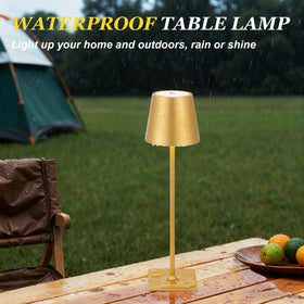 Kakanuo Gold portable design fits any setup