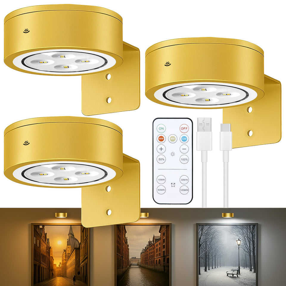 Kandicyar 3-pack picture light mounted on wall for even artwork illumination.