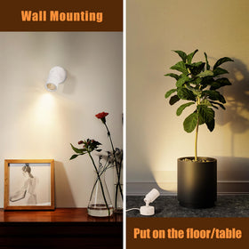 Kandicyar wall-mountable LED spotlight highlights sculptures and decor.