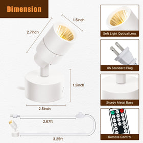 Kandicyar indoor LED spotlight set enhances paintings and plants.