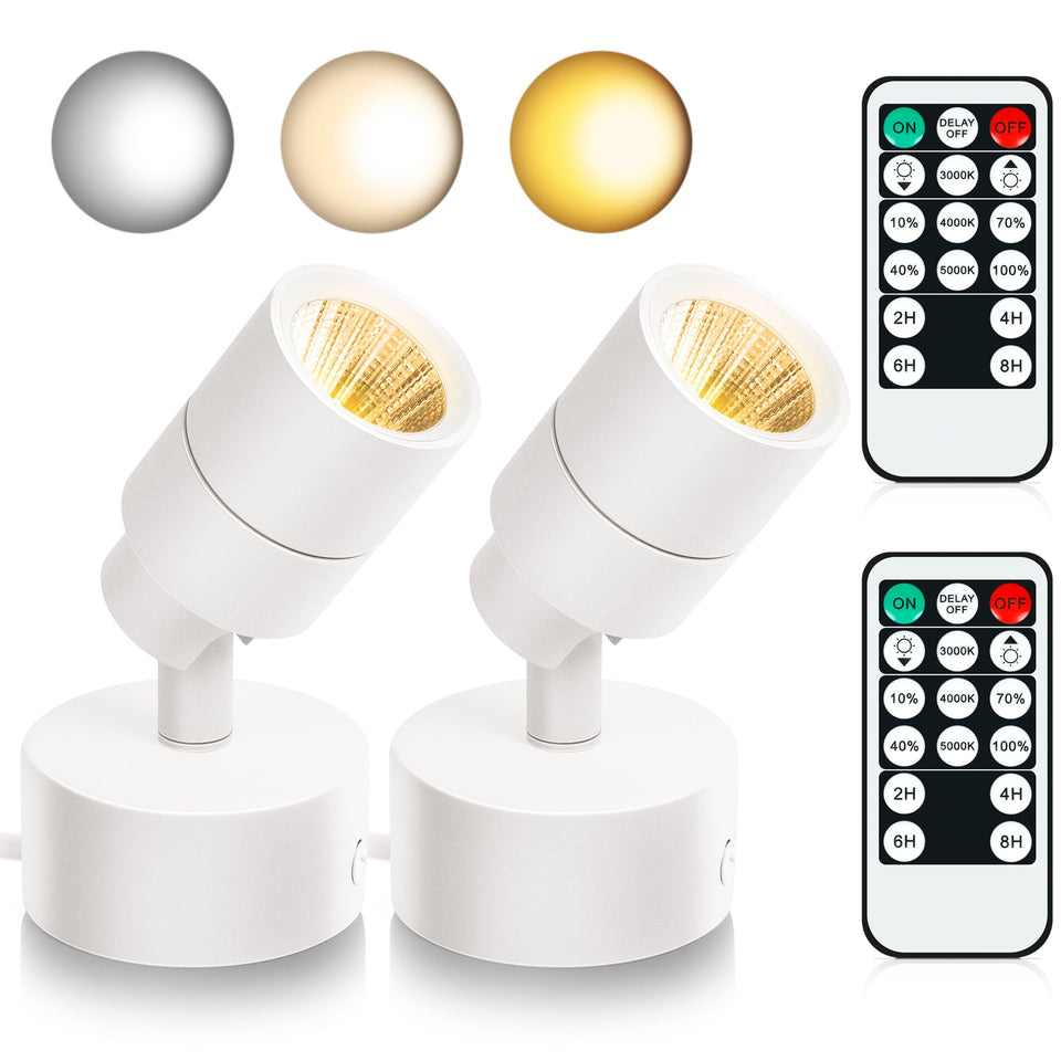 Kandicyar LED spotlight 2-pack highlighting artwork with remote dimming.