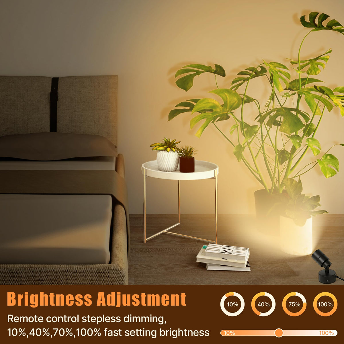 Kandicyar LED spotlight lighting artwork with crisp detail