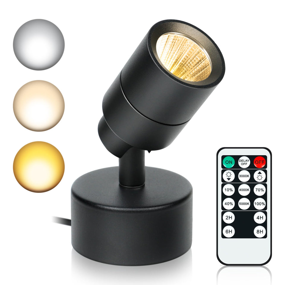Kandicyar LED Spotlight highlighting a painting with vivid color rendering