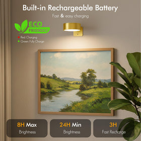 Kandicyar three-mode light offering warm, natural, and cool tones for art viewing.