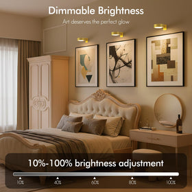 Kandicyar picture light with timer function for automated operation.