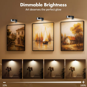 Kandicyar picture light wall dimmable option for perfect frame lighting
