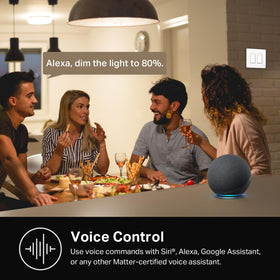 Kasa Smart app control with HS220-2 for remote lighting management.