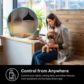 Voice control with HS220-2 using Alexa or Google Assistant for hands-free lighting.