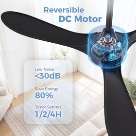 KASASS outdoor ceiling fan remote view emphasizes easy control for shaded patios and porches.